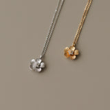 Marigold Forever