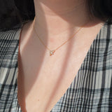Bee (N)